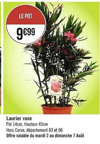 Géant Casino Laurier rose offre
