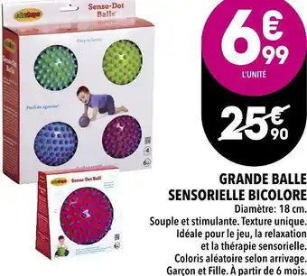 Grande balle sensorielle bicolore