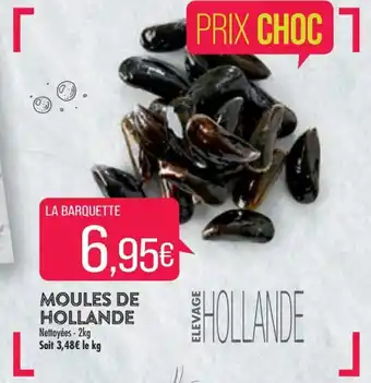 Match Moules de hollande offre