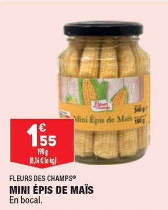 FLEURS DES CHAMPS mini épis de maïs