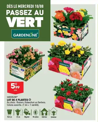 ALDI GARDENLINE lot de 4 plantes offre