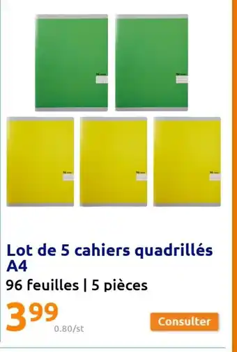Action Lot de 5 Cahiers Quadrillés A4 offre