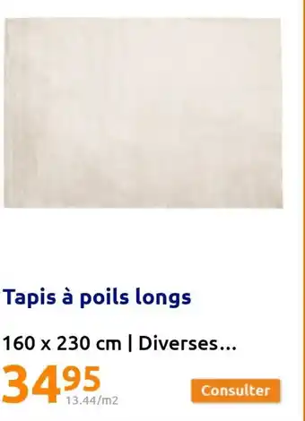 Action Tapis à Poils Longs offre