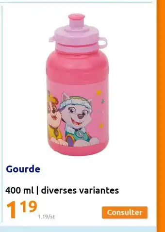 Action Gourde 400ml offre
