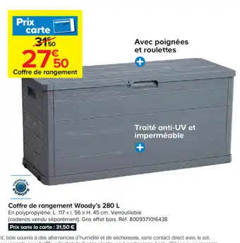 Castorama Coffre de rangemenr Woody's offre