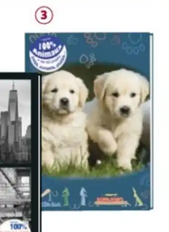 Auchan Agenda 100% animaux 12x17cm 1jour/page offre