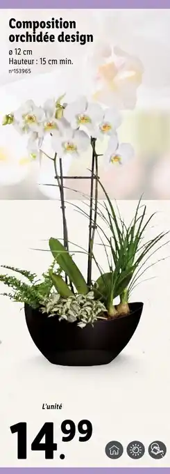 Lidl Composition orchidée design offre