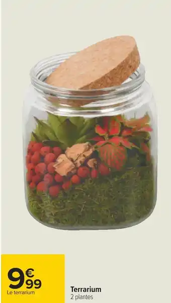Carrefour Terrarium offre