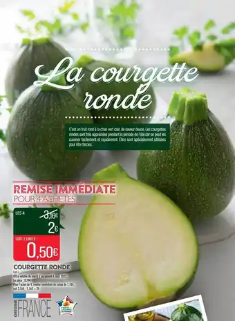 Match Courgette ronde offre