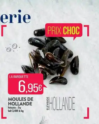 Match Moules de hollande offre
