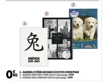 Auchan Agenda lycéen auchan 12 x 17 cm 1 jour - page offre