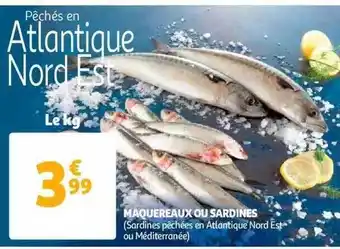 Auchan Maquereaux ou sardines offre