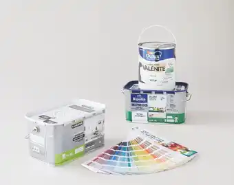 Leroy Merlin Bon plan sur les peintures à la machine à teinter de la marque LUXENS, RIPOLIN et DULUX VALENTINE offre