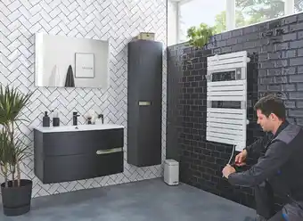 Leroy Merlin MEUBLE DE SALLE DE BAINS EGERIE NOIR MAT offre