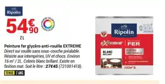 Bricorama Peinture Fer Glycéro Anti-Rouille EXTREME offre