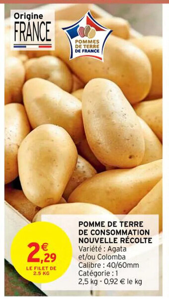 Pomme de terre de consommation nouvelle rêcolte