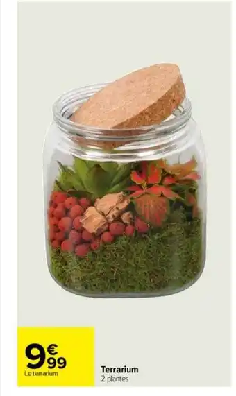 Carrefour Terrarium offre