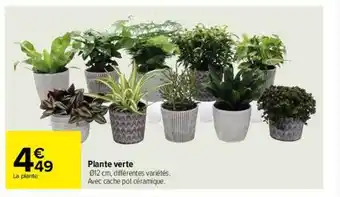 Carrefour Plante verte offre