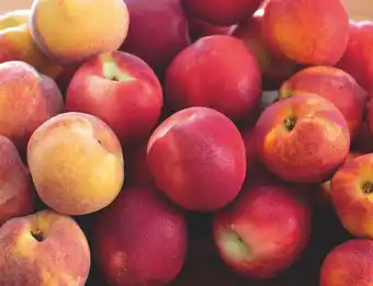 Auchan PÊCHES OU NECTARINES offre
