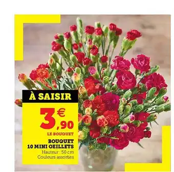 Hyper U Bouquet 10 Mini œillets offre