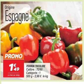 Poivron Tricolore
