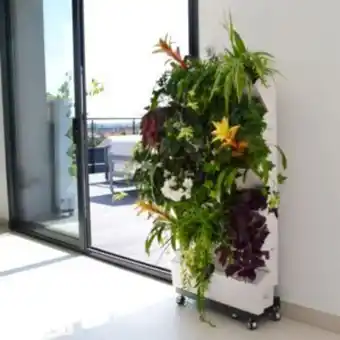 Gamm vert Support végétal home garden - jardibric offre