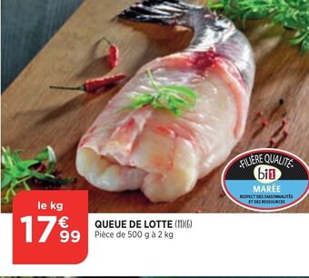 Bi1 Queue de Lotte offre