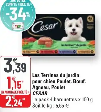 G20 Les Terrines du jardin pour chien Poulet Bœuf offre