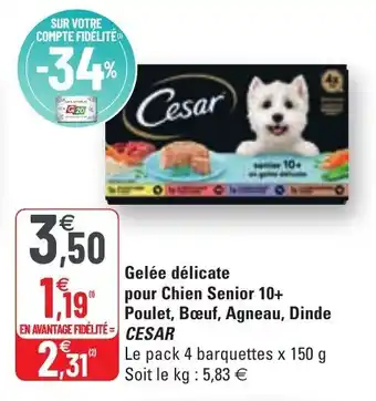 G20 Gelée delicate pour Chien Senior 10+ offre