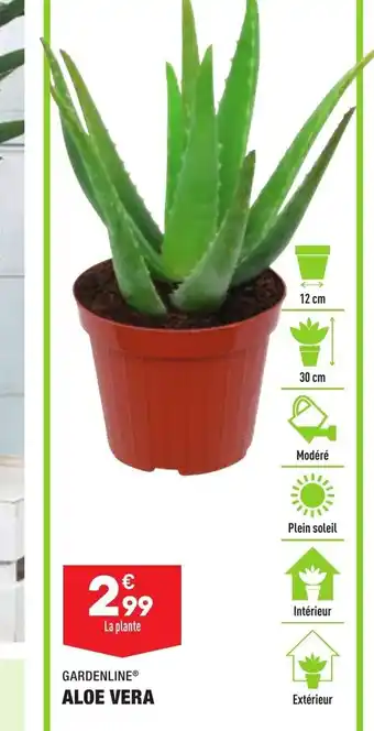 ALDI Aloe Vera offre