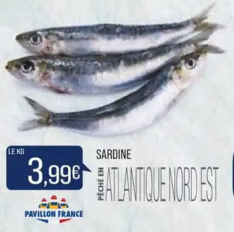 Match Sardine offre