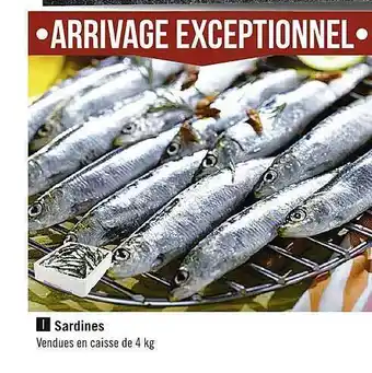 Casino Supermarchés Sardines offre