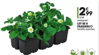 ALDI Lot de 6 Fraisiers offre