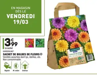 Sachet De Bulbes De Fleurs