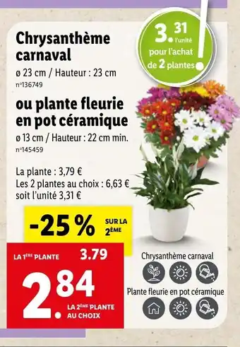 ChrysanthĂšme carnaval