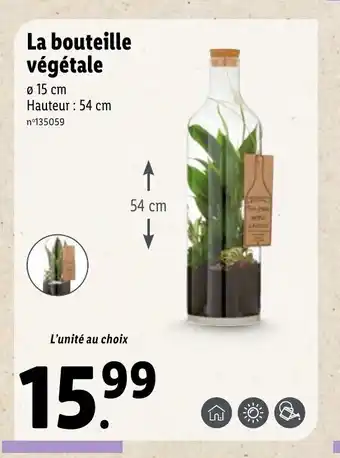 La Bouteille végétale