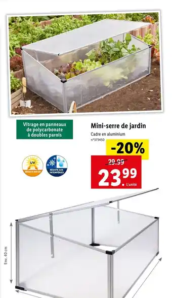 Lidl Mini-serre de jardin offre