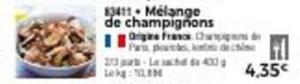 Thiriet Mélange de champignons offre