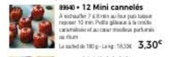 Thiriet 12 mini cannelés offre