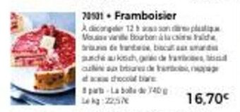 Thiriet Framboisier offre