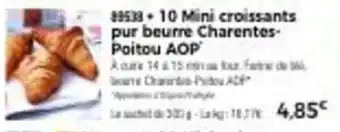 Thiriet 10 mini croissants pur beurre charentes-poitou AOP offre