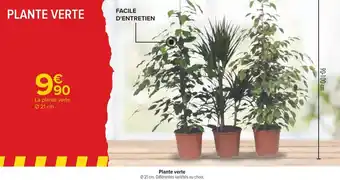 Carrefour Plante verte offre