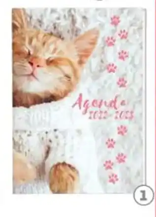 Auchan Agenda auchan chien chat offre