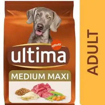 Ultima medium / maxi adult bœuf pour chien