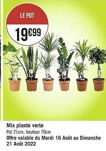 Casino Supermarchés Mix plante verte offre