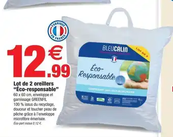 Bazarland Lot de 2 oreillers "éco-responsable" offre