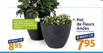 Action Pot De Fleurs Andes offre