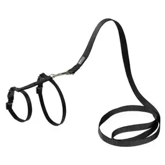 Maxi Zoo Anione harnais rouge + laisse pour chat - s/m offre