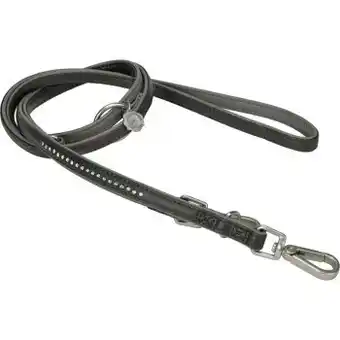 Maxi Zoo More laisse deluxe xs pour chien offre