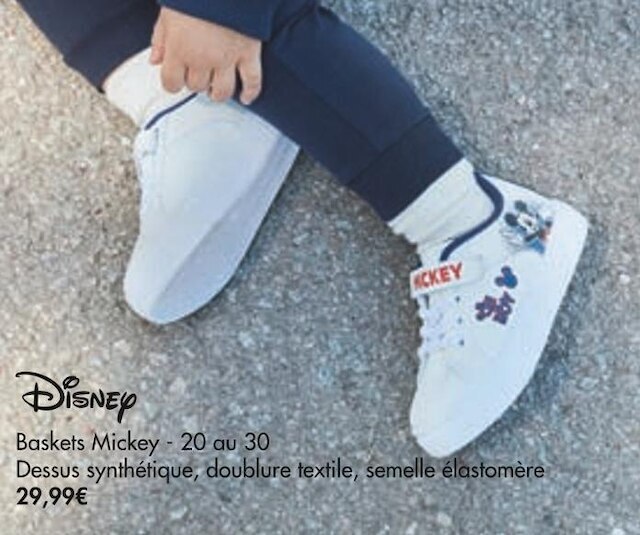 basket moa disney